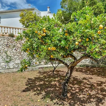 Βίλα Sindi Κάλπε